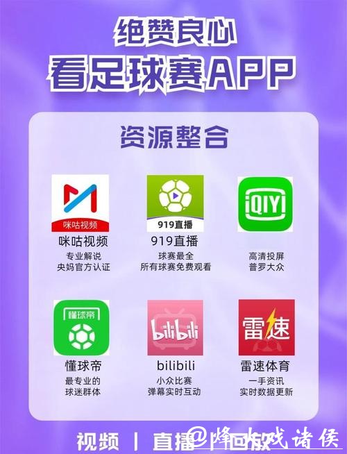 世界杯下注APP：直播功能与赛事互动介绍